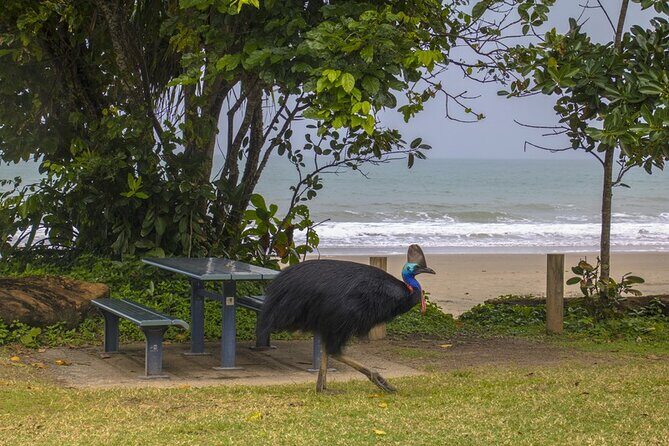 Afternoon & Evening Tour of Paronella Park - The Sum Up