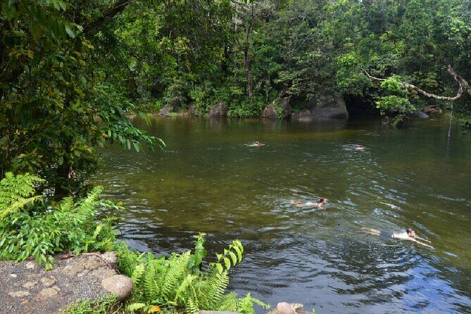 Afternoon & Evening Tour of Paronella Park - FAQ