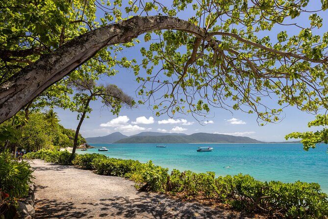 Afternoon Fitzroy Island Escape Return Ferry Included - The Experience Beyond the Itinerary