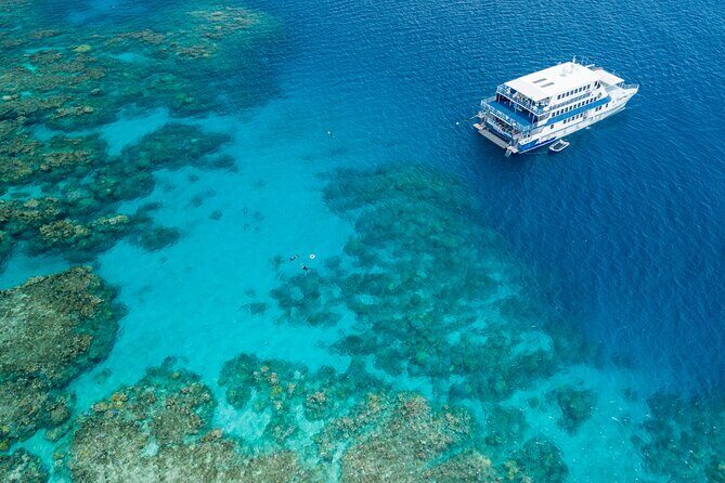 Afternoon Fitzroy Island Escape Return Ferry Included - Final Thoughts