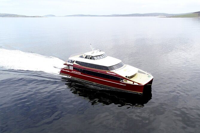 Afternoon Gordon River Dinner Cruise - The Practicalities and Value