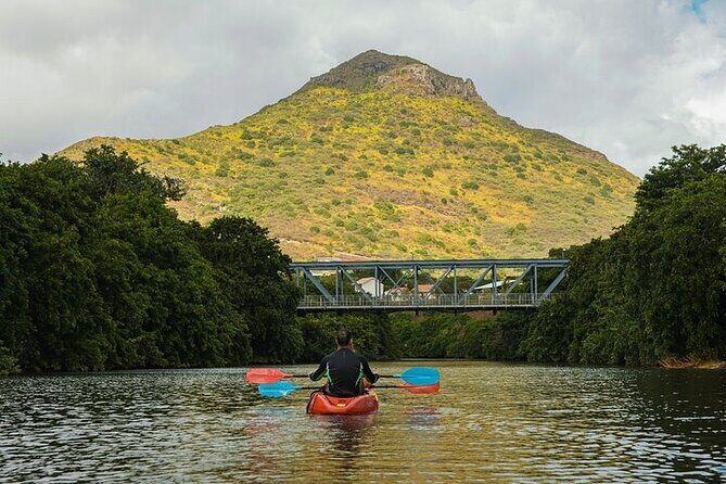 Afternoon Guided Kayak Activity on the Tamarin River - The Price and Value for Money