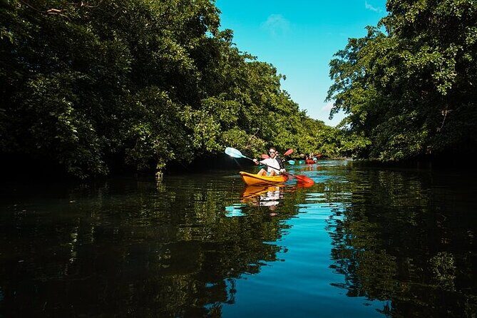 Afternoon Guided Kayak Activity on the Tamarin River - Frequently Asked Questions