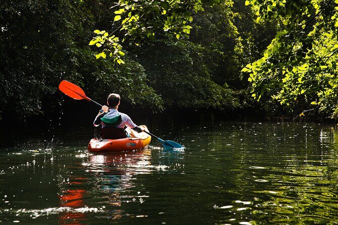 Afternoon Guided Kayak Tour on the Tamarin River - FAQ