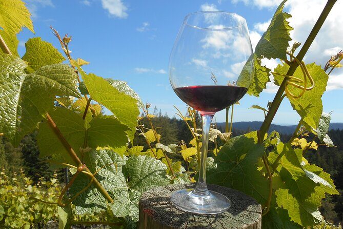 Afternoon Half-day Carmel Valley Wine Tasting Tour - Final Thoughts