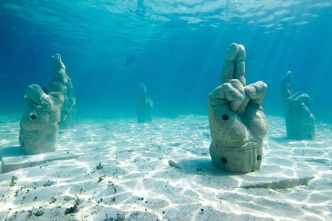 Afternoon Half-Day Catmaran Sailing and Snorkel Adventure - Key Points