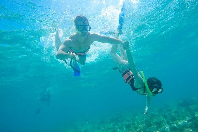 Afternoon Half-Day Catmaran Sailing and Snorkel Adventure - The Sum Up: Who Is This Tour For?