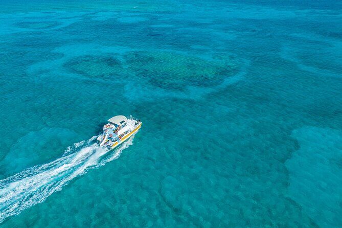 Afternoon Half Day Cruise from Providenciales with Snorkeling and Iguana Island - A Practical Look at the Afternoon Half Day Cruise from Providenciales with Snorkeling and Iguana Island