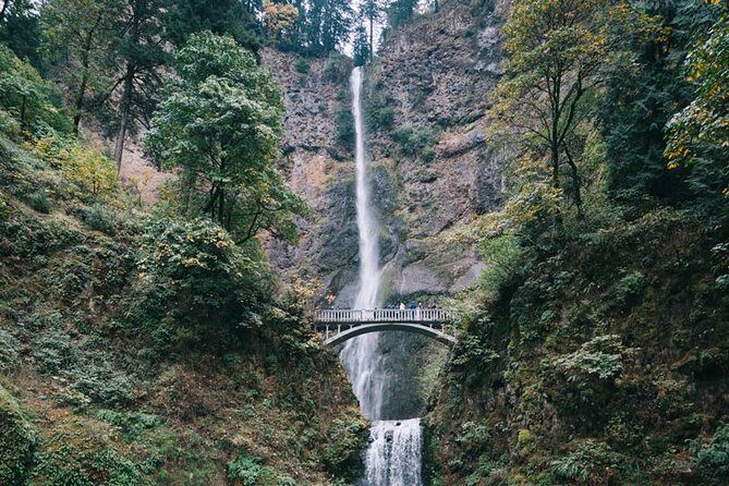 Afternoon Half-Day Multnomah Falls and Columbia River Gorge Waterfalls Tour from Portland - Key Points