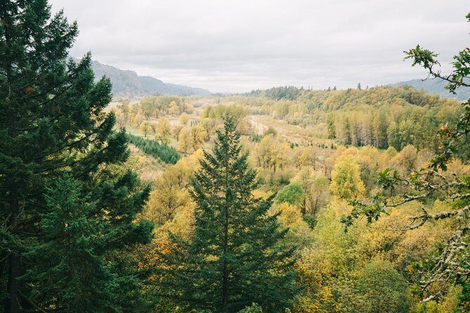 Afternoon Half-Day Multnomah Falls and Columbia River Gorge Waterfalls Tour from Portland - The Sum Up