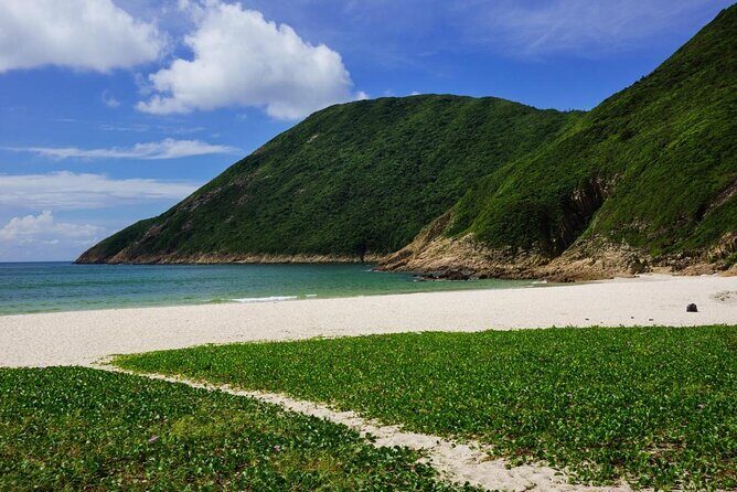 Afternoon Hiking Tour Sharp Island Geopark - Key Points