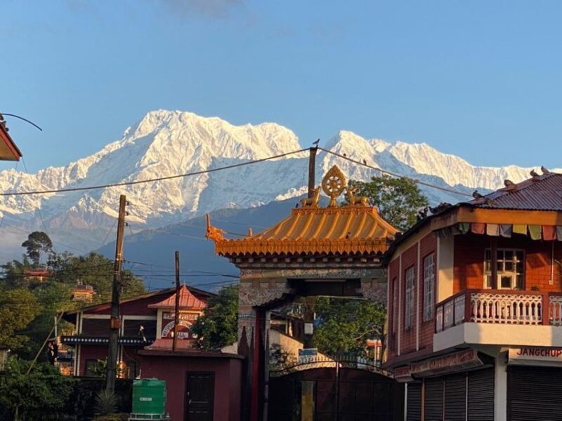 Afternoon Tibetan cultural tour - The Logistics and Practicalities