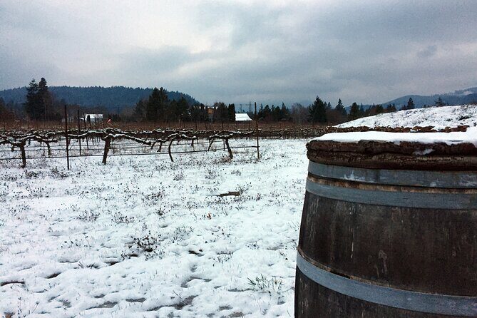 Afternoon Tour in Columbia Gorge Waterfall with Free Wine Tasting - Authentic Insights from Reviews