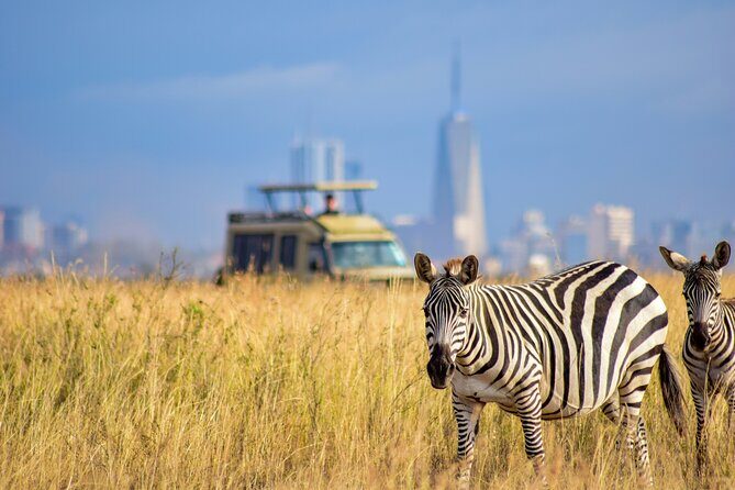 Afternoon Tour To Nairobi National Park - An Honest Look at the Experience