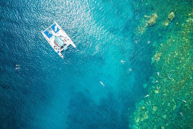 Afternoon West Maui Snorkel from Kaanapali Beach - Key Points