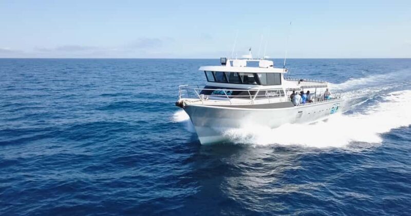 Afternoon Whale Watching Cruise in Broome - Key Points