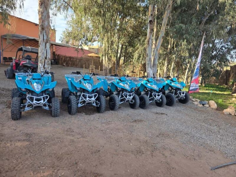 Agadir : 2 h Quad biking excursion with moroccan tea - The Sum Up