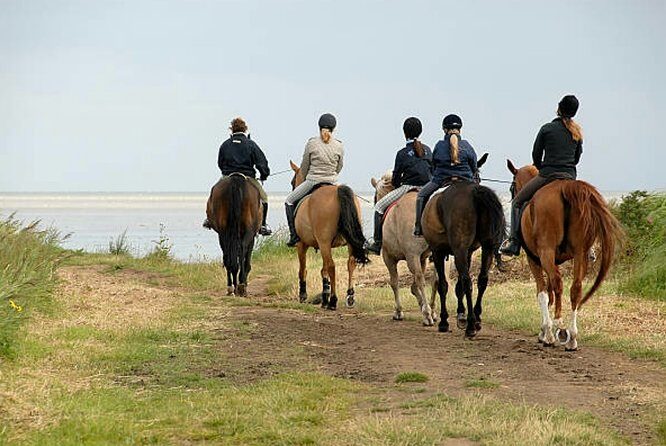 Agadir 2-Hour Horse Riding Experience with Pickup - Frequently Asked Questions