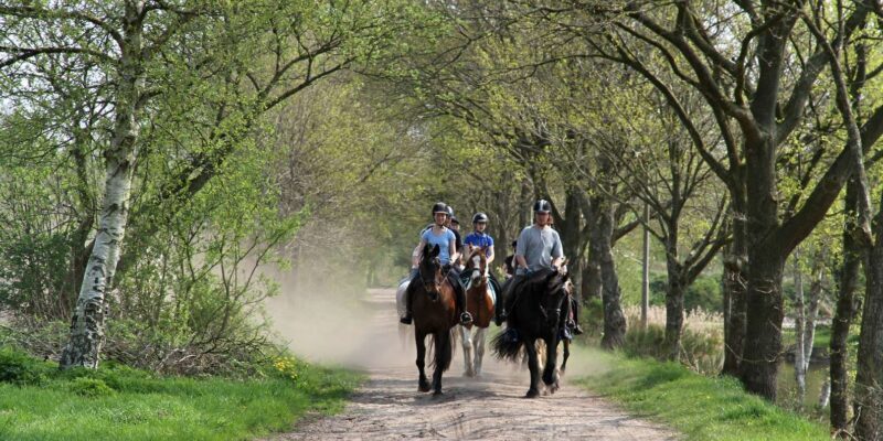Agadir 2hours Horse Riding visite the flamingo river - Who Will Love This Tour?