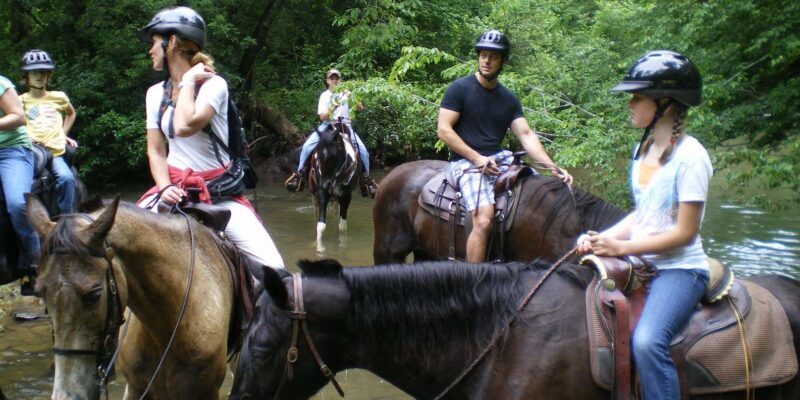 Agadir 2hours Horse Riding visite the flamingo river - Frequently Asked Questions