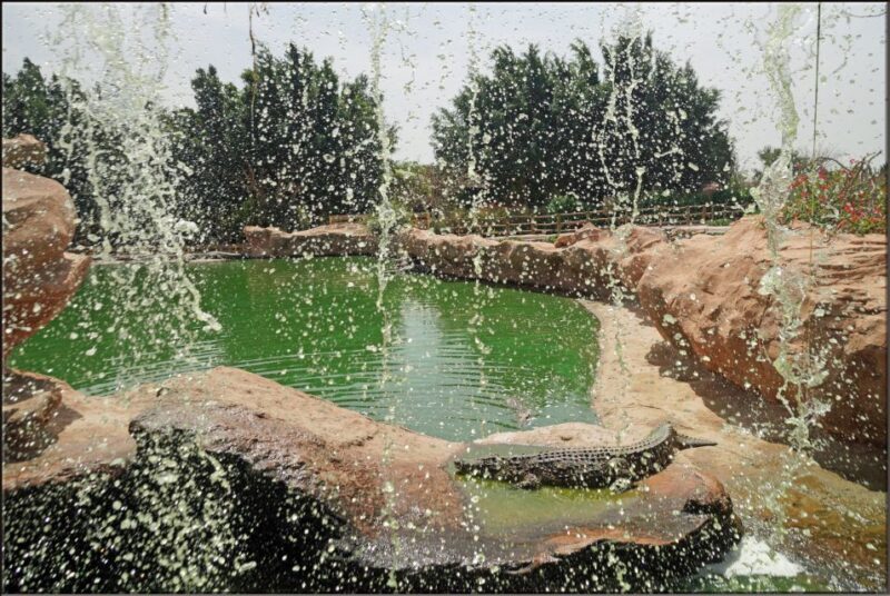 Agadir: Agadir Crocodile Park Adventure - Why You Should Consider This Tour
