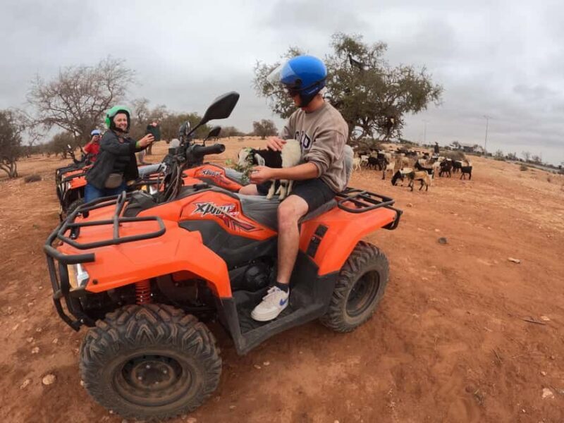 Agadir: Agafay Desert Quad Biking With Goats On The Tree - Exploring the Experience: What to Expect
