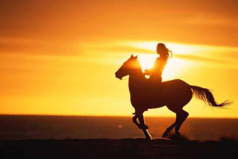 Agadir and Taghazout: 2-Hour Horseback Ride on the Beach - An Authentic Beach Ride with Moroccan Charm