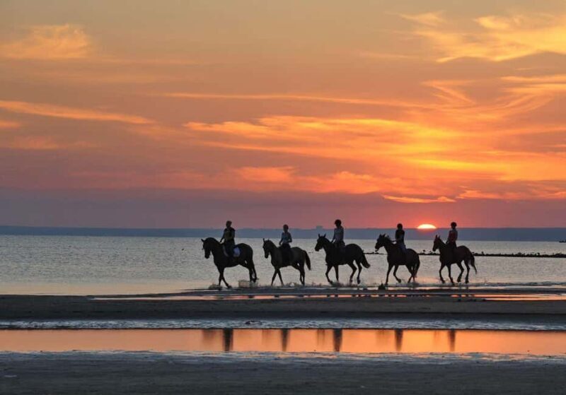 Agadir and Taghazout: Morning Horse Ride on The Beach - Key Points