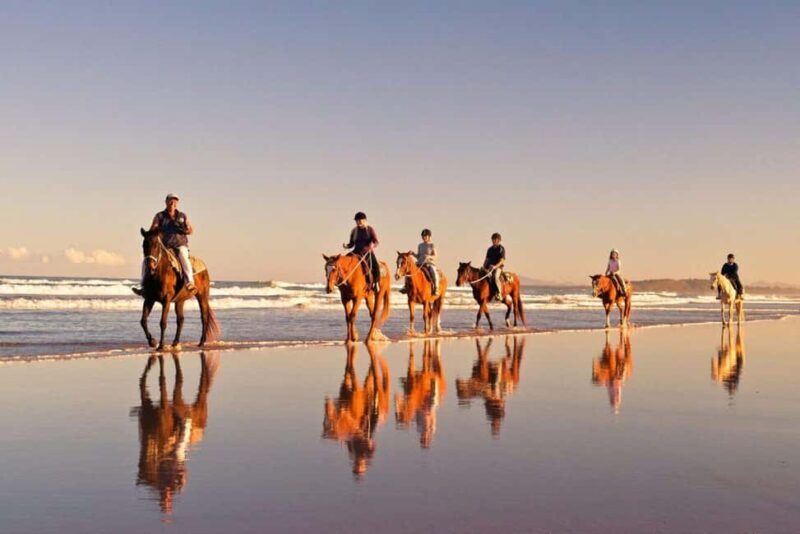 Agadir and Taghazout: Morning Horse Ride on The Beach - The Experience: What to Expect from the Tour