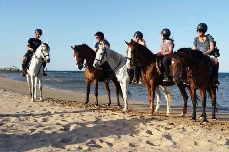 Agadir and Taghazout: Morning Horse Ride on The Beach - The Reviews: Authentic Voices