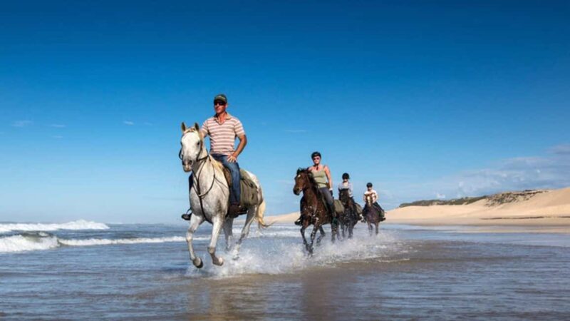 Agadir and Taghazout: Morning Horse Ride on The Beach - Practical Details