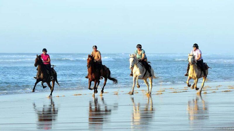 Agadir and Taghazout: Morning Horse Ride on The Beach - Who Will Love This Tour?