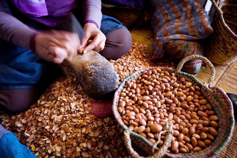 Agadir: Argan Oil Cooperative & Traditional Crafts Workshop - Who Is This Tour Best For?