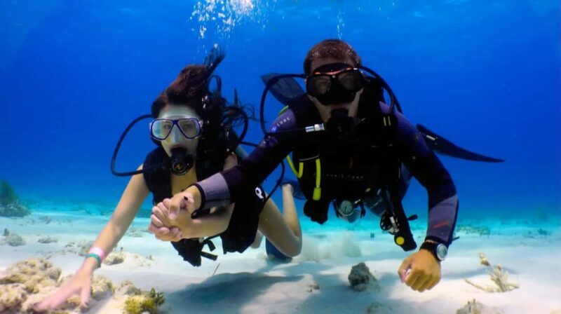 Agadir: Atlantic Ocean Scuba Diving Adventure - Key Points