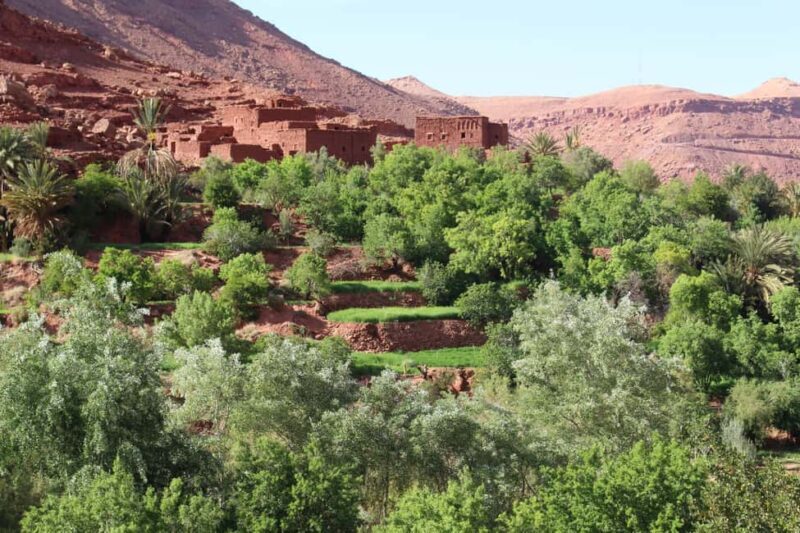 Agadir: Atlas Mountains Cross Berber Villages Tour - Key Points