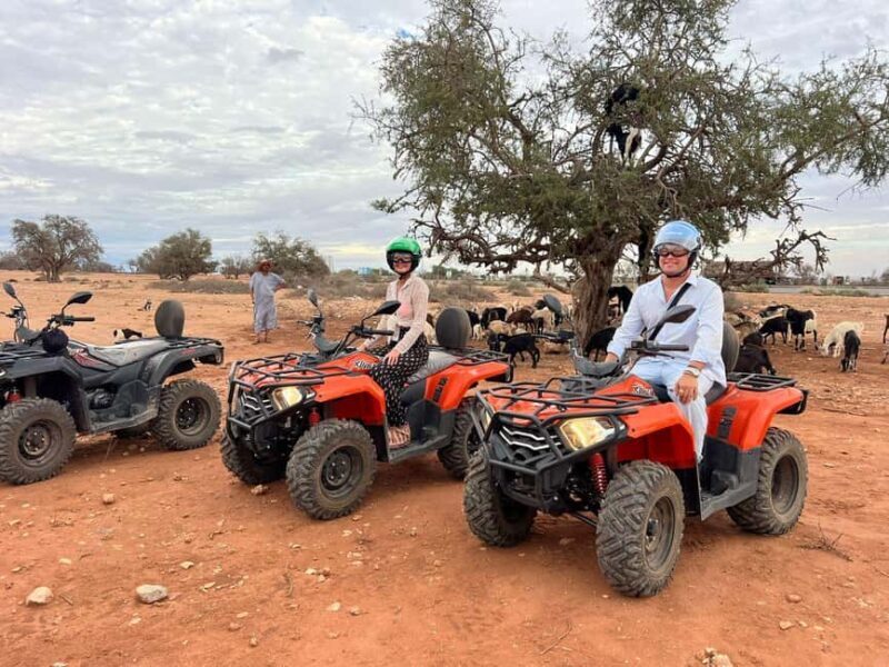 Agadir: ATV Quad Biking and Goats On Argan Trees with Tea - Introduction: Why This Tour Stands Out