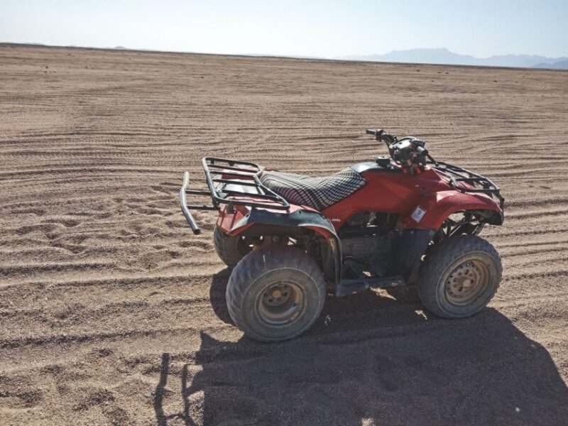 Agadir: Beach and Dune Quad Biking Adventure with Snacks - Who Will Love This Tour?