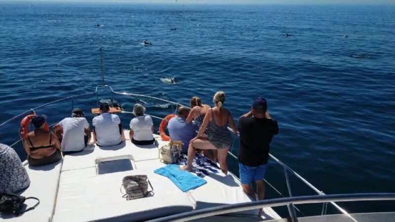 Agadir: Boat Trip with Fishing, Swimming, and BBQ Lunch - Key Points
