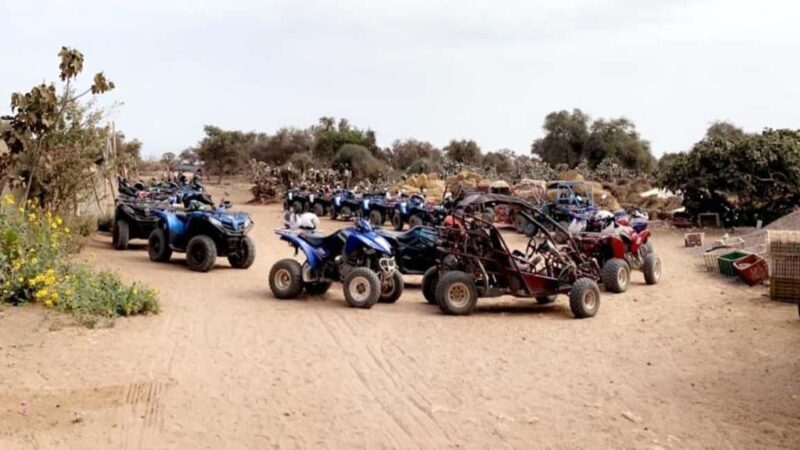 Agadir: Buggy Adventure with Guide and Lunch - Who Should Consider This Experience