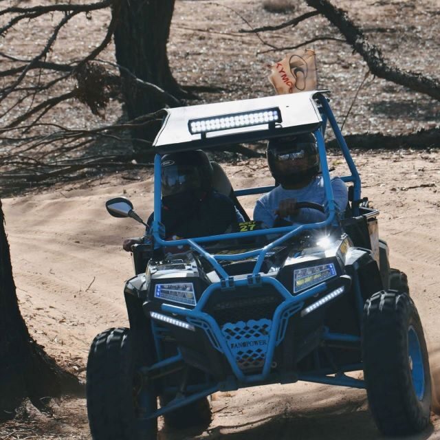 Agadir: Buggy Safari Adventure - Insights from Travelers: What Makes This Tour Stand Out