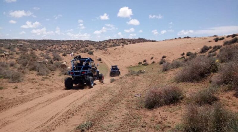 Agadir: Buggy Safari Adventure - FAQ