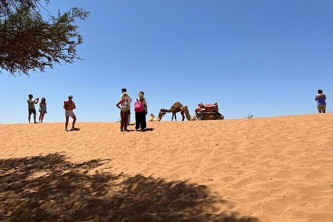 Agadir Buggy Tour and Sandboarding - Itinerary Breakdown