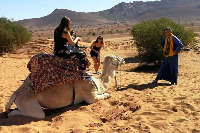 Agadir Buggy Tour and Sandboarding - Authentic Reviews and Insights