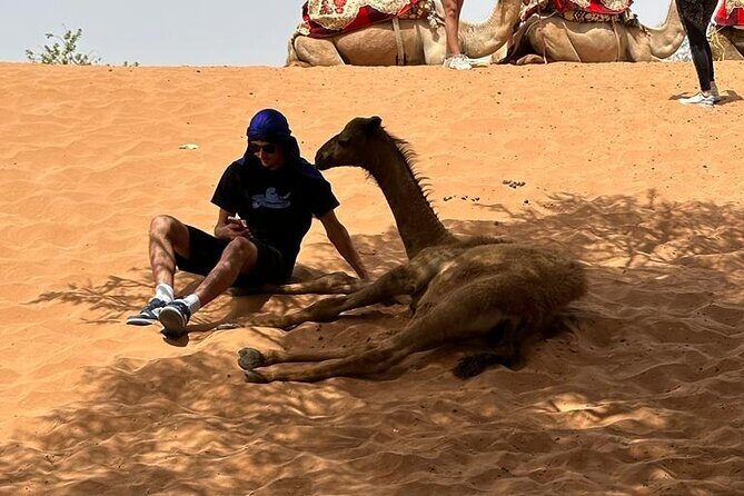 Agadir Buggy Tour and Sandboarding - Why Choose This Tour?