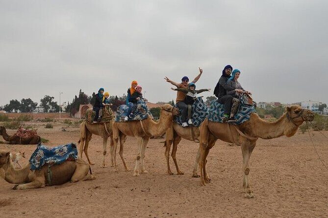 Agadir Camel Ride Experience - Diving Into the Details: The Itinerary and Experience