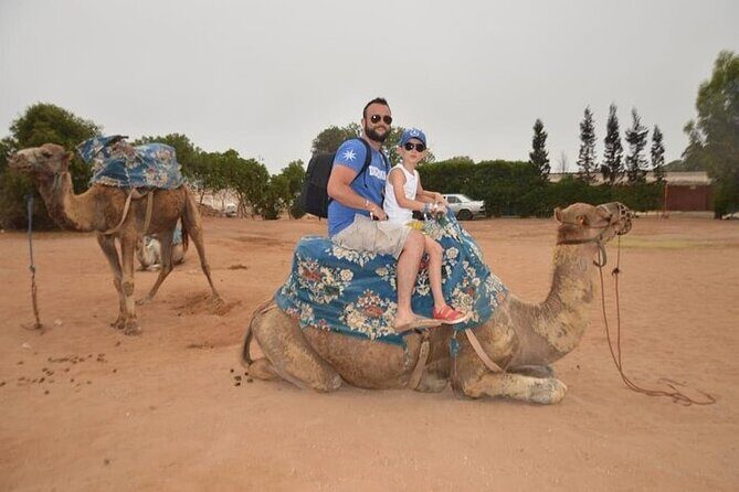 Agadir Camel Ride Experience - Final Thoughts: Is it Worth It?