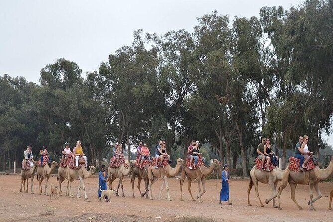 Agadir Camel Ride Experience - FAQ