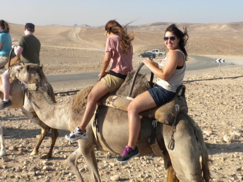 Agadir Camel Ride Flamingo River & BBQ Dinner - Authenticity and Reviews