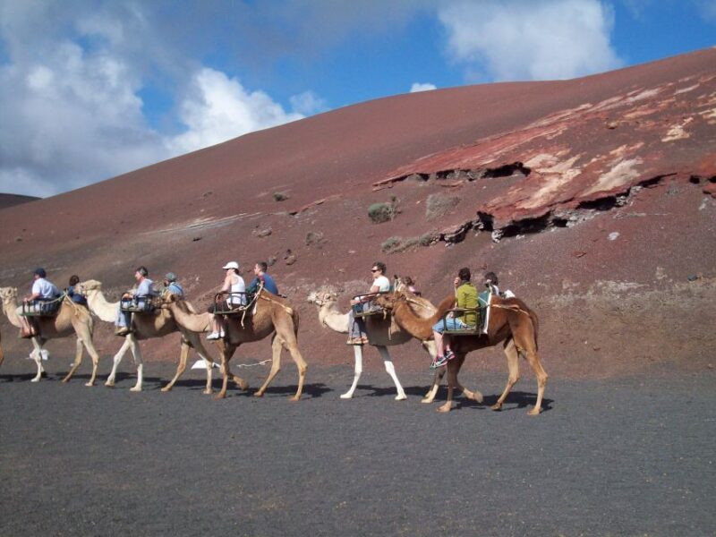 Agadir Camel Ride Flamingo River & BBQ Dinner - Practical Tips for Travelers