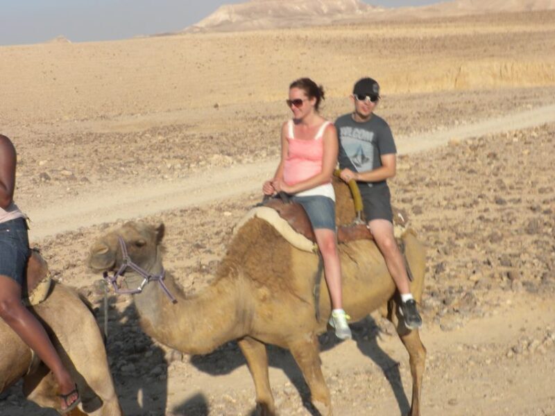 Agadir Camel Ride Flamingo River & BBQ Dinner - Final Thoughts